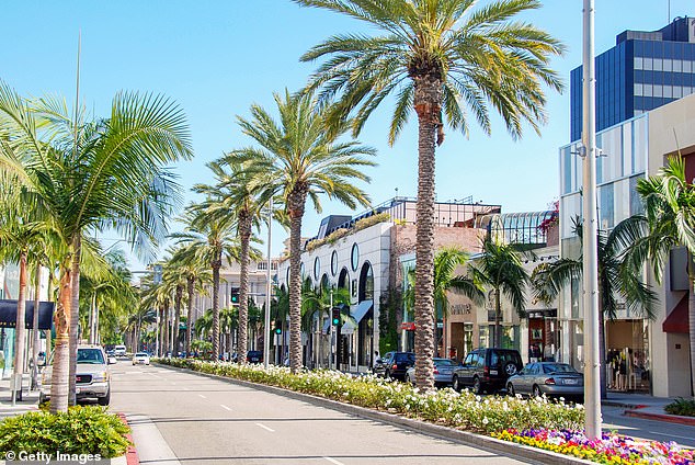 Anderson is speaking out about her horrific ordeal in the hopes of raising awareness about the issue of crime in the affluent area (pictured Rodeo Drive in Beverly Hills)