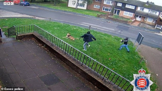 This is the moment a dog walker is chased down by a gang, who dubbed themselves the 'Three Musketeers', minutes before he was stabbed to death in broad daylight