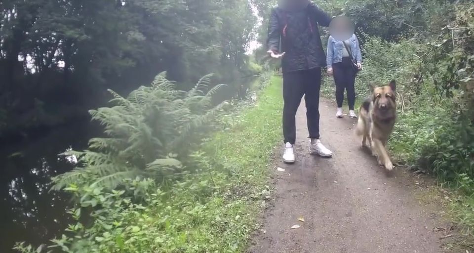 A man and woman walking a German Shepherd along a canal towpath.