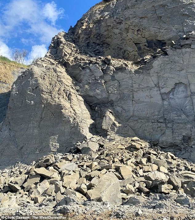 Approximately 10,000 tonnes of rock peeled off the 600 foot tall cliff at Golden Cap, near Seaton, Dorset