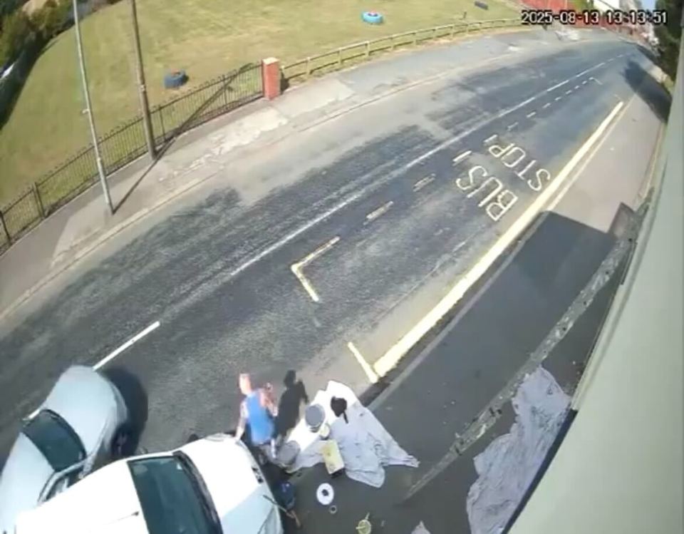 A painter is hit by a car at a bus stop.