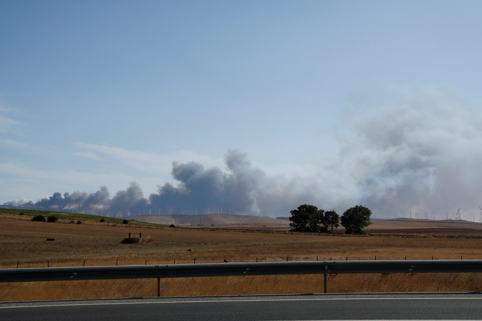 Smoke from a wildfire near Bolonia beach in Tarifa, Spain.