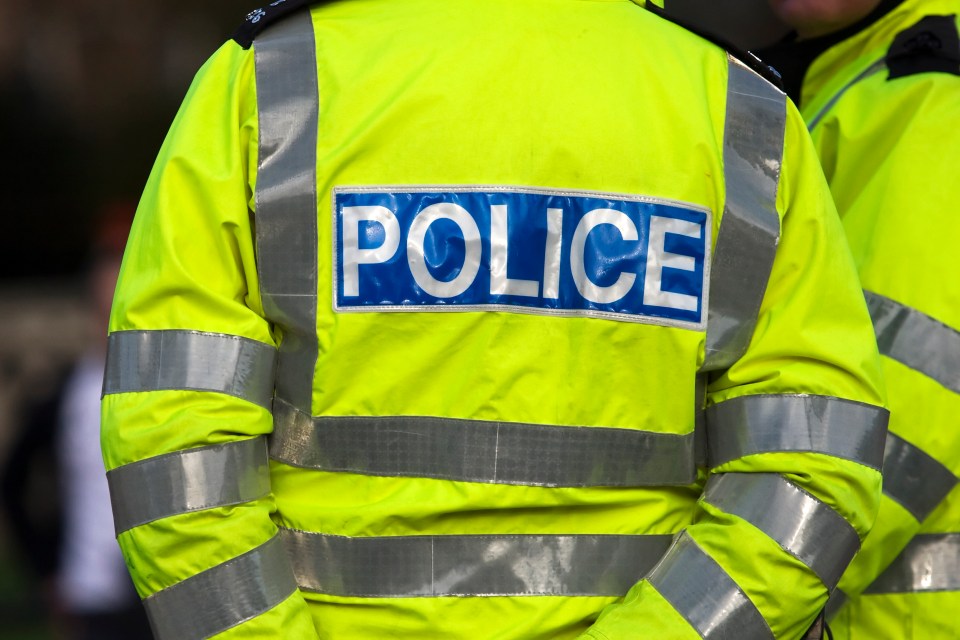 Back of a police officer's jacket.