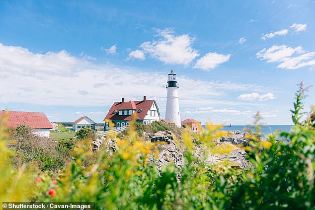 Iconic tourist destination Martha's Vineyard is grappling with an increase in the tick-borne illness alpha-gal syndrome (stock image)
