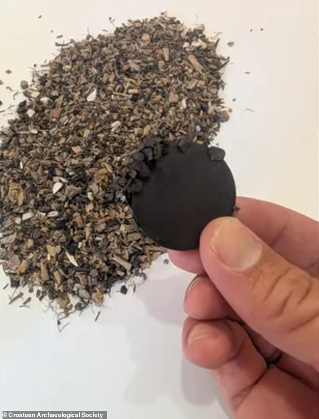 Researchers have now discovered evidence of hammerscale (pictured) on Croatoan and believe it indicates the colony settled there