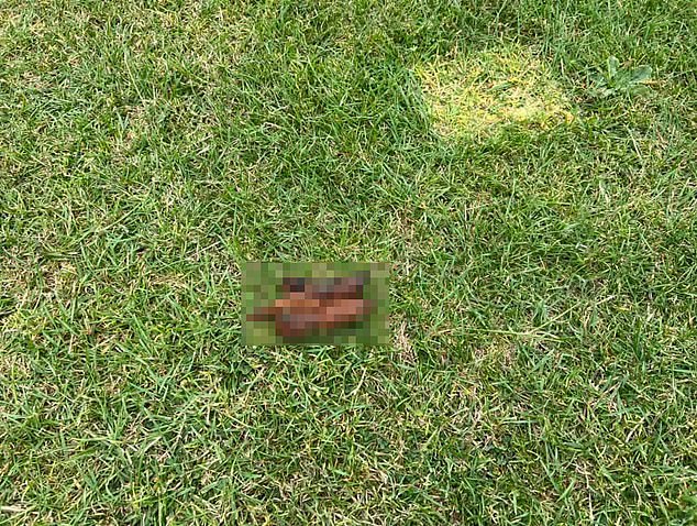 Human waste was allegedly also left on Plymstock's outfield and the surrounding areas
