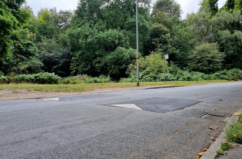 Two short speed bumps on a residential road.