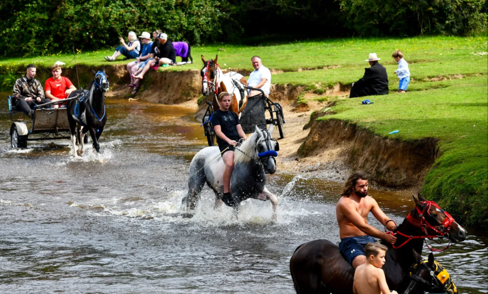 People and horses wading through a shallow river.