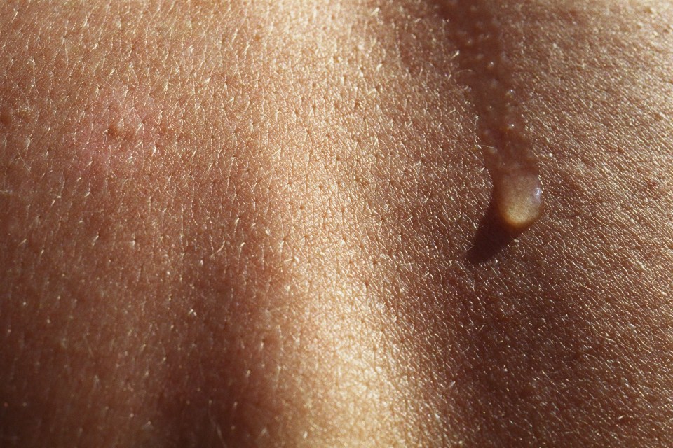 Close-up of a drop of sweat on skin.