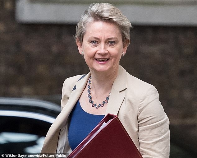Home Secretary Yvette Cooper said the Government wants to see the public provided with more details about the backgrounds of those charged with criminal offences