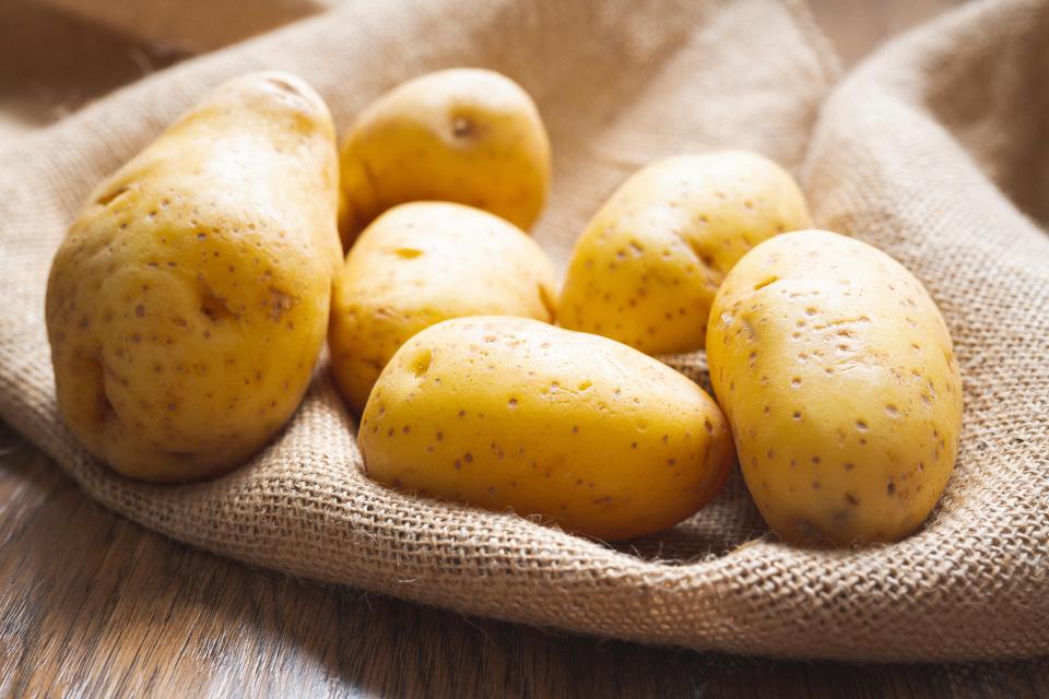 2A3RAGF Potatoes. Fresh, organic Yukon Gold potato close up on a wooden kitchen table in morning light