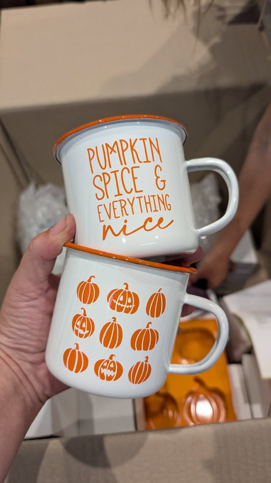 Two autumn-themed mugs; one with pumpkins, the other with text that reads "Pumpkin Spice & Everything Nice".
