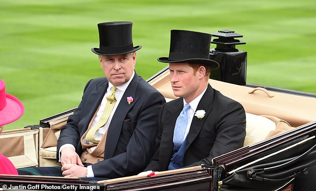 At a family gathering in 2013, Harry and Andrew had got into a heated argument, and punches were thrown, according to Andrew Lownie
