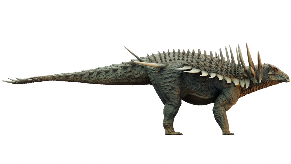 Illustration of Spicomellus afer, an armored dinosaur.