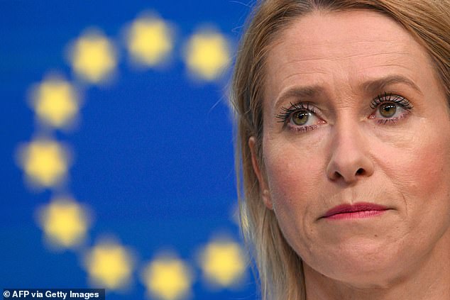 The European Union's Kaja Kallas dampens hopes of any breakthrough in Ukraine conflict saying Putin has got 'everything he wants'