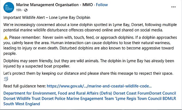 Marine Management Organisation have shared concerns for the safety of the sea creatures and urged tourists to stay away from the animals in a recent Facebook post