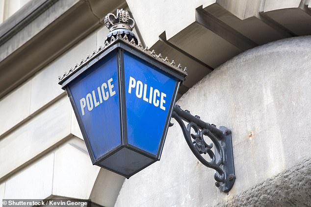 Only 20 desks will remain open with 18 set to be axed by the Metropolitan Police as the force scrambles to balance its £260million budget shortfall (file image)