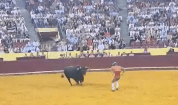 Bullfighter and bull in a bullring.