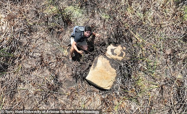 Archaeologists uncovered another new statue in 2023 (pictured), which would found lying face-down