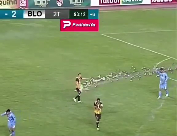 Soccer player collapsing after being hit by a firework.