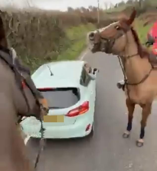 Last year, road rage driver Fiona Parselle seemingly attempted to spook horses by revving her engine and beeping her horn after being asked to slow down