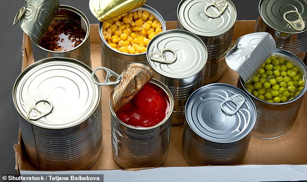 A shock poll has revealed 86 per cent of us don't have enough to last us even one day in a crisis (stock image)