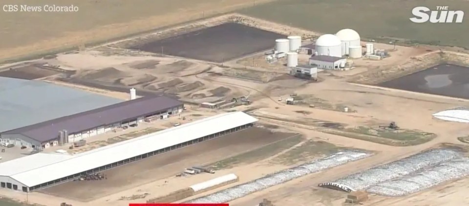 Aerial view of Prospect Valley Dairy in Keenesburg after six people were found dead.