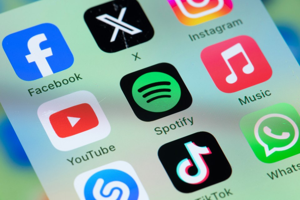 Smartphone screen displaying social media and music apps.