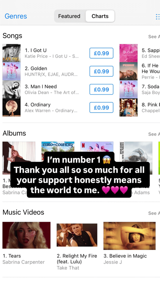 Screenshot of an iTunes chart showing Katie Price's song "I Got U" at number one.