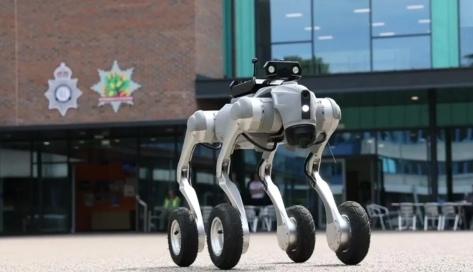 Robot dog being trialled by a UK police force.