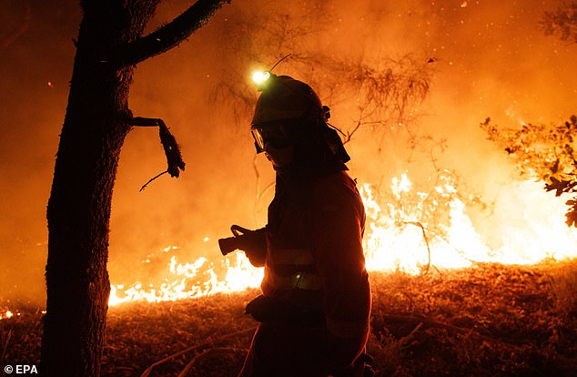 A handout photo made available by the Spanish Minister of Defense shows a firefighter working to extinguish a forest fire in Oimbra, Ourense, Galicia, Spain, 19 August 2025