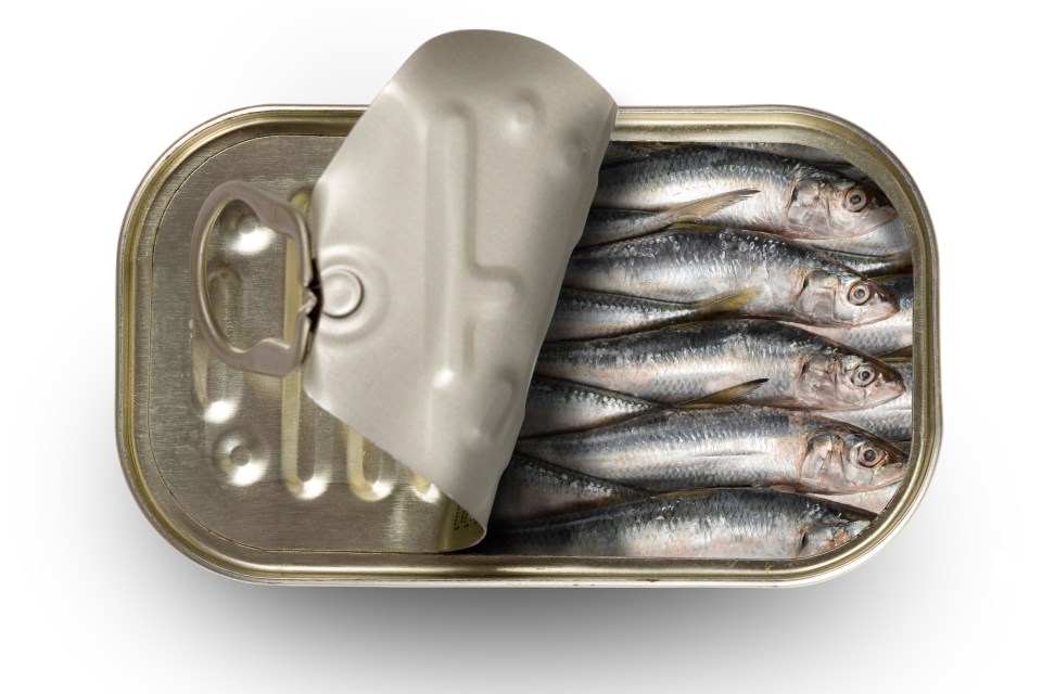 Tinned sardines in an open can.