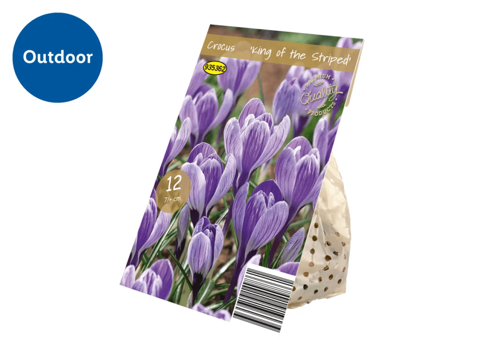 Package of 12 Crocus 'King of the Striped' bulbs.