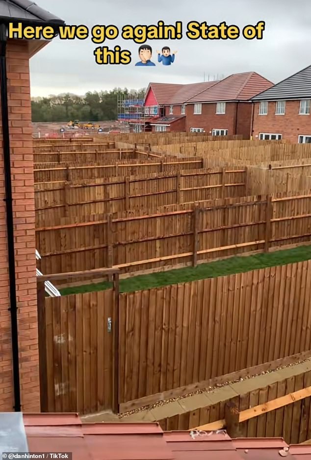 Dan's videos often criticise the size of the gardens and how they are landscaped by developers