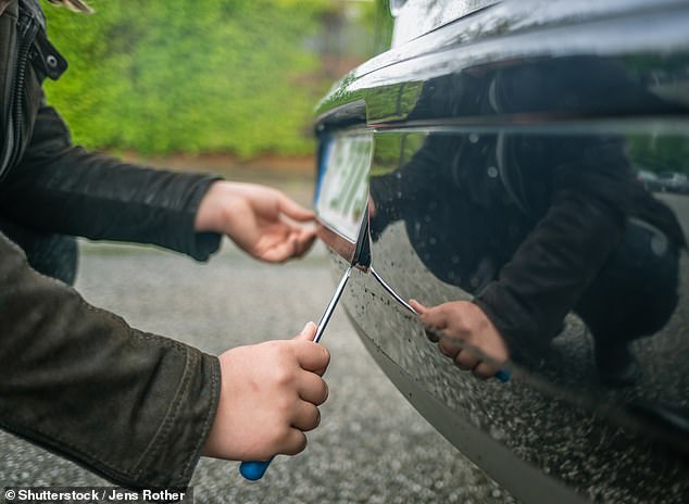 Over 5,600 drivers last year reported to the DVLA that their number plates had been pinched from their vehicle, while another 10,500 believed theirs had been cloned. But this is just the tip of an iceberg...