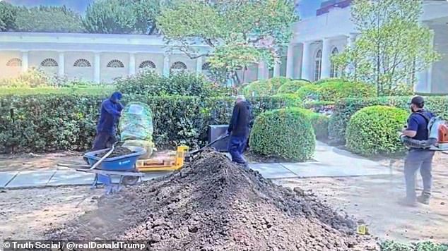 President Donald Trump has publicly shamed a landscaping team who left a 'huge gash' in his Rose Garden limestone and vowed they will 'never work at the White House again'
