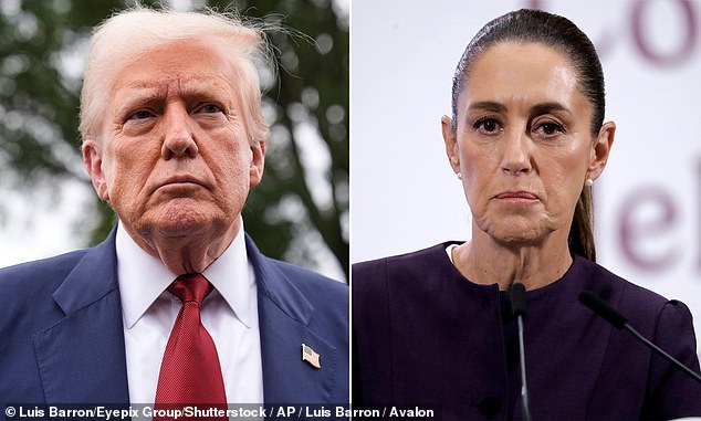 In May, President Trump told the Mexican President, Claudia Sheinbaum Pardo, that he would send US troops to her country to fight the drug cartels, but was turned away