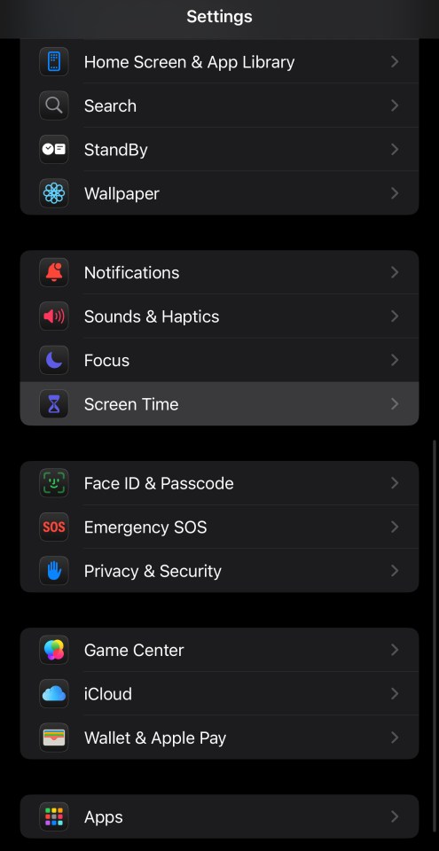 iPhone settings menu.
