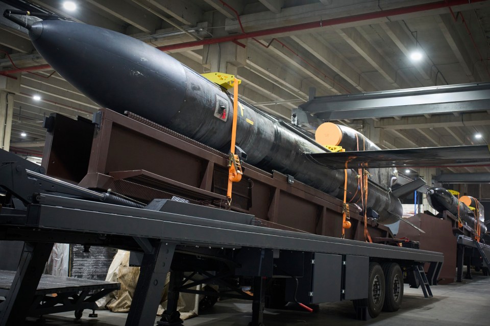 Ukrainian-made long-range drones on a flatbed trailer.