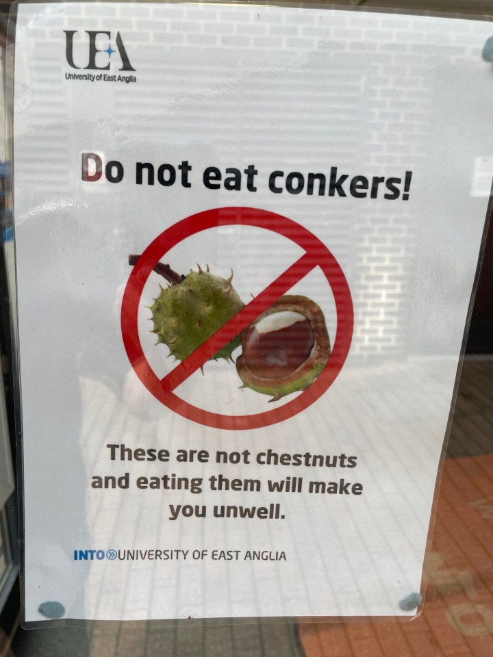 Sign warning against eating conkers, which are not chestnuts and are toxic.