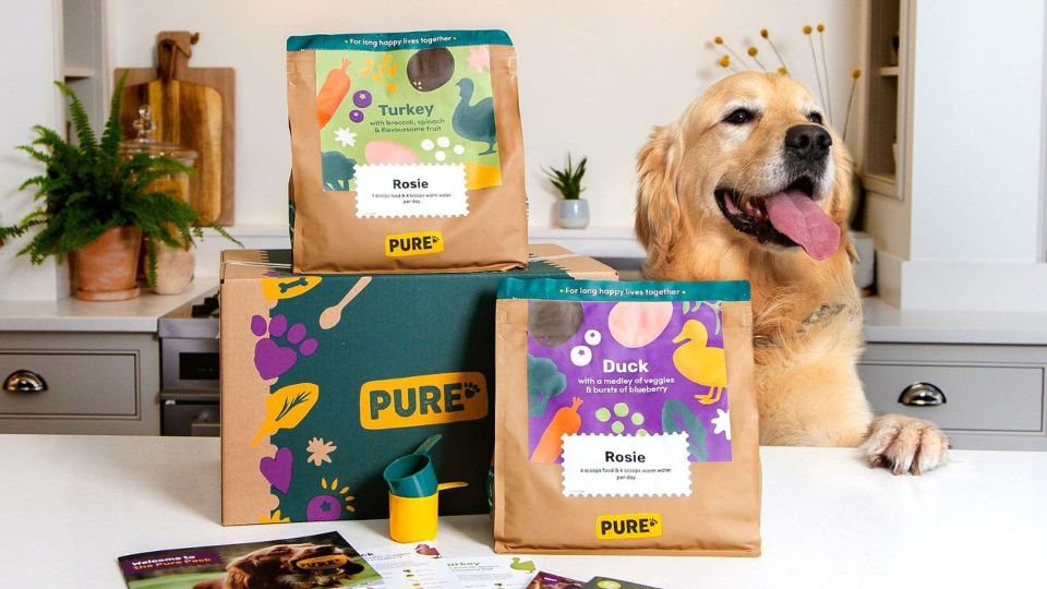 Golden retriever with Pure dog food boxes.