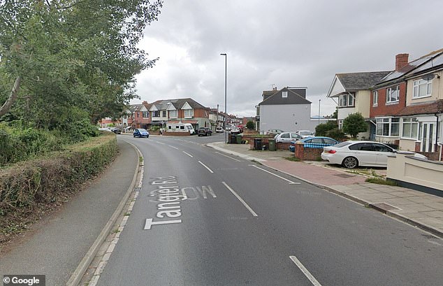 Police were called following reports the girl was assaulted on a pathway close to Tangier Road in Portsmouth (pictured in general view) just after 2.30pm on Sunday