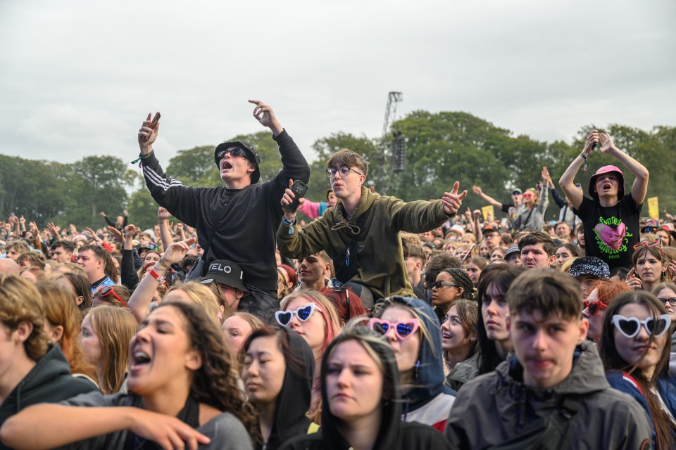 Large crowd of music festival attendees.