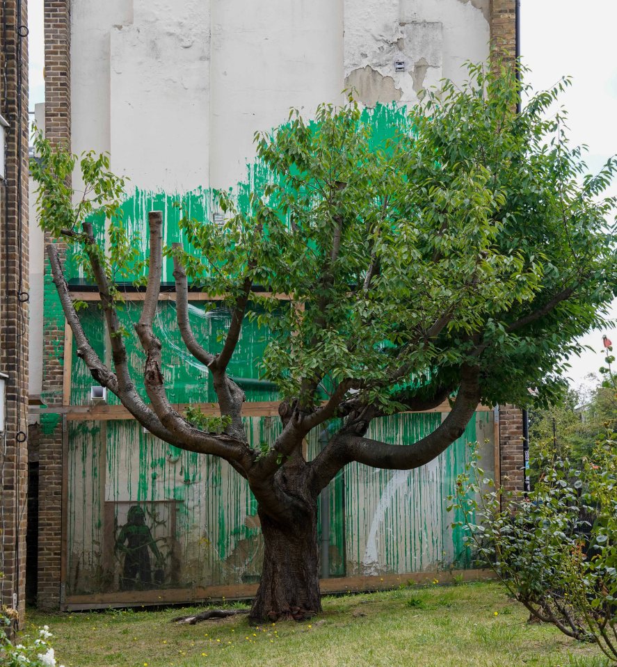 Banksy artwork of a tree in front of a painted wall.