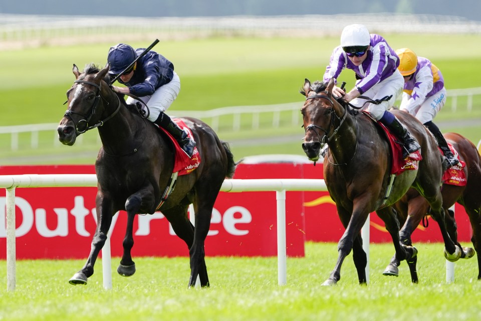 Ryan Moore riding Lambourn in the Irish Derby.