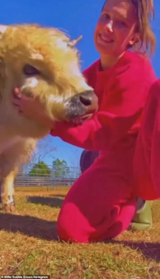 Millie has given fans a glimpse of her countryside life on Instagram, sharing snaps with some of the animals on the farm which reportedly include donkeys, goats, horses and sheep