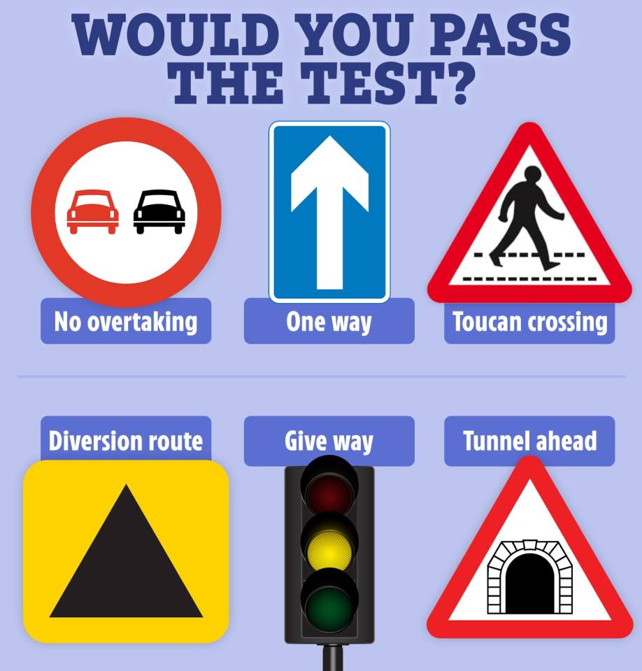Illustration of various road signs: no overtaking, one way, toucan crossing, diversion route, give way, and tunnel ahead.