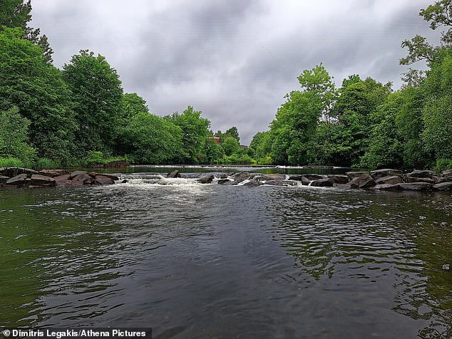 Sporty Kane, who played rugby for Morriston under 14s, was found dead at the River Tawe in Morriston, Swansea (pictured)