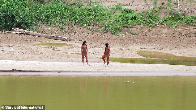 Their lack of immunity means even a minor infection could be deadly for the whole tribe
