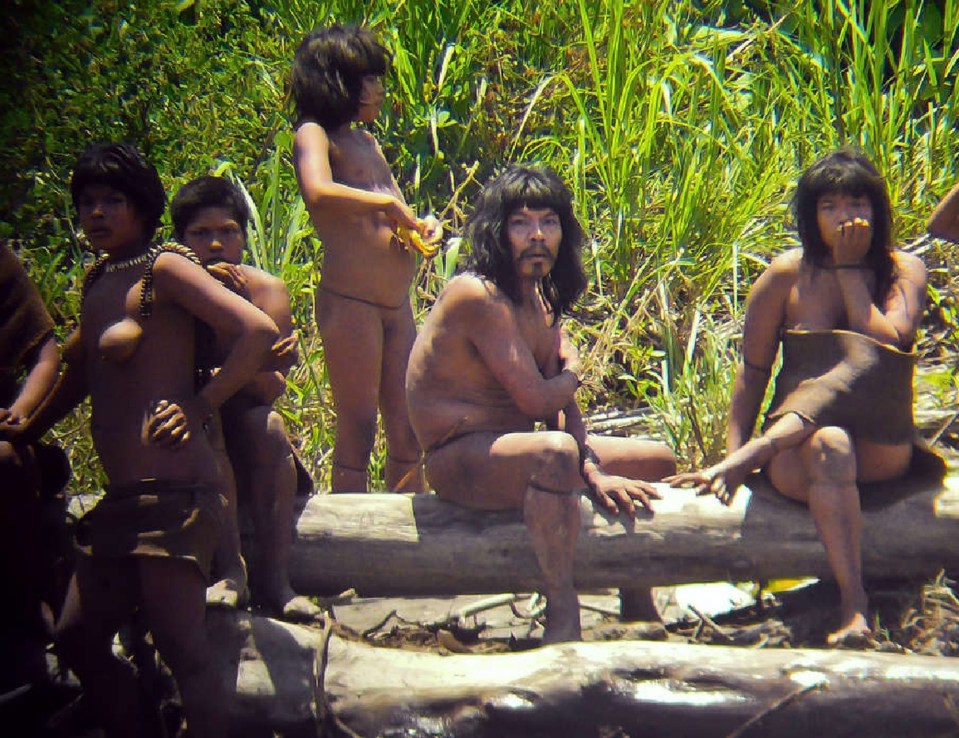 Photo of uncontacted Mashco-piro tribe members in the Peruvian jungle.